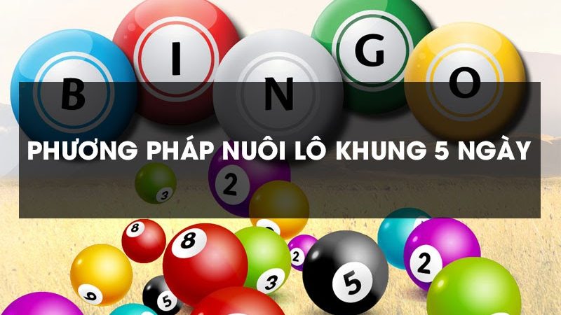 Phương pháp soi cầu đặc biệt trong soi lô vòng 5 ngày